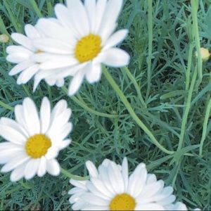 Meet your Posher, Bryson